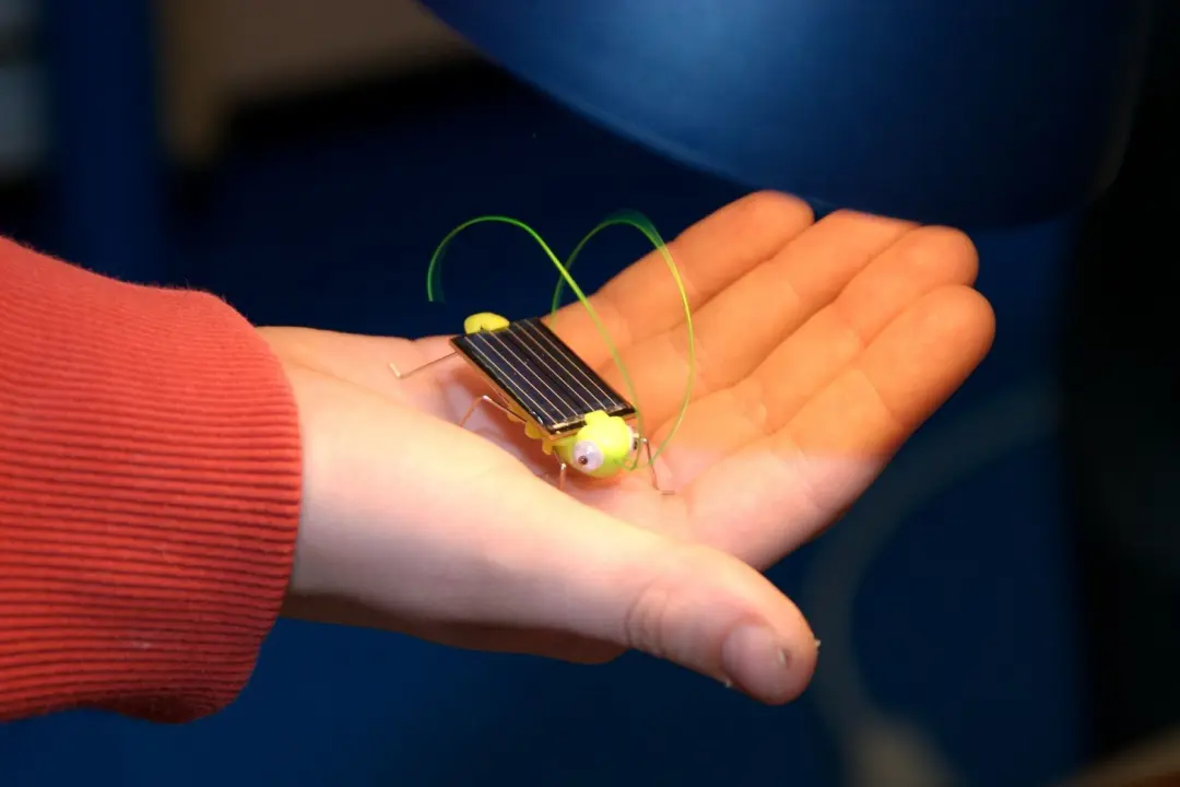 lekker-energie-pressemitteilung-deutsche-umwelt-aktion